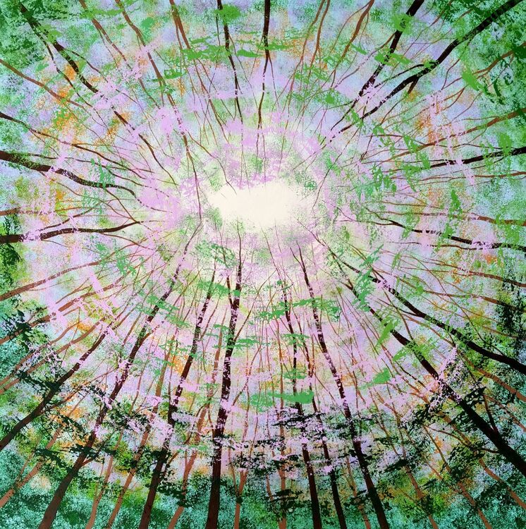 Forest Sky Light