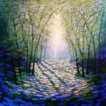 Following the Light