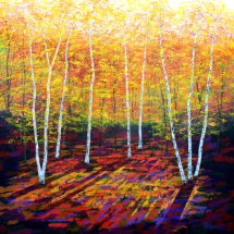 Golden Birch Wood