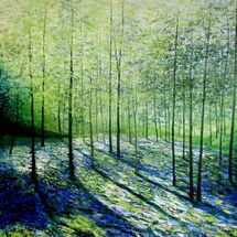 Into a Shaded Wood
