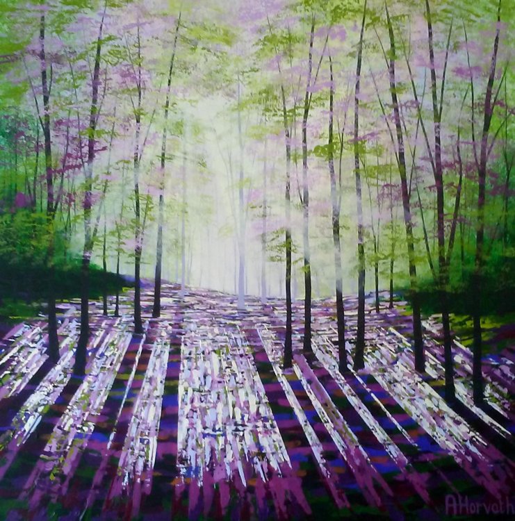 Light of the Forest