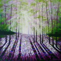 Light of the Forest