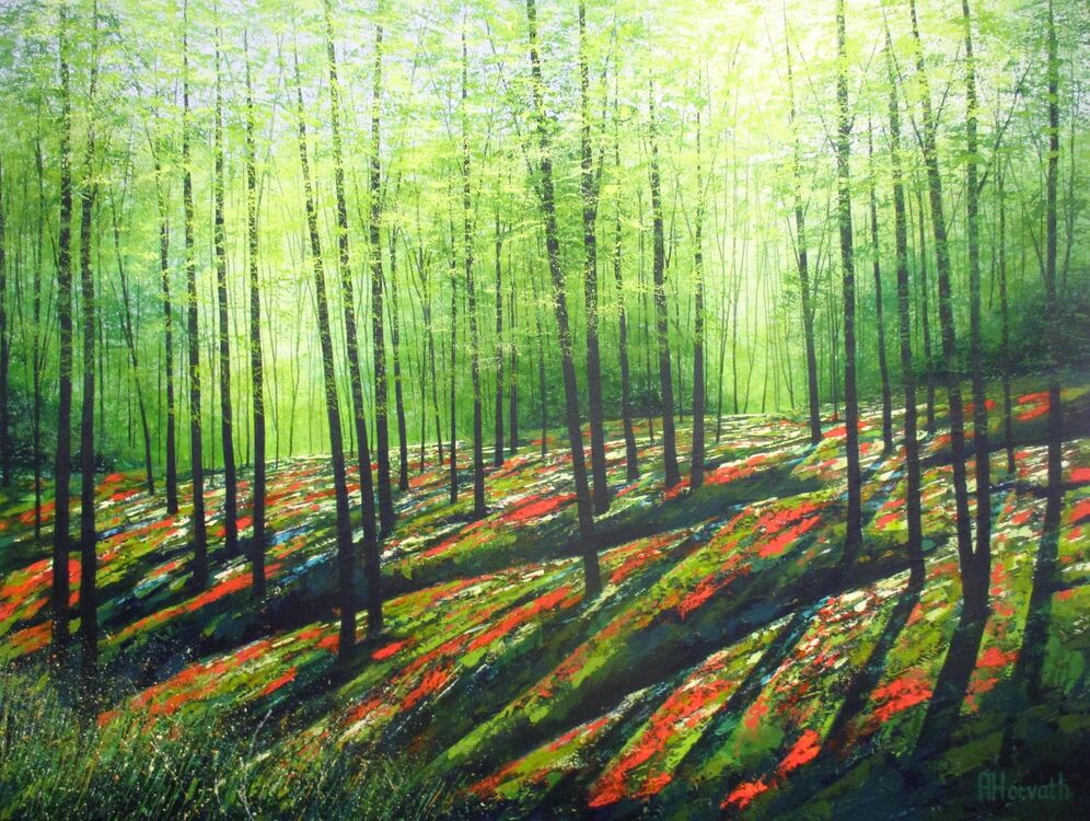 Listen to the Forest