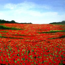 Scarlet Poppies