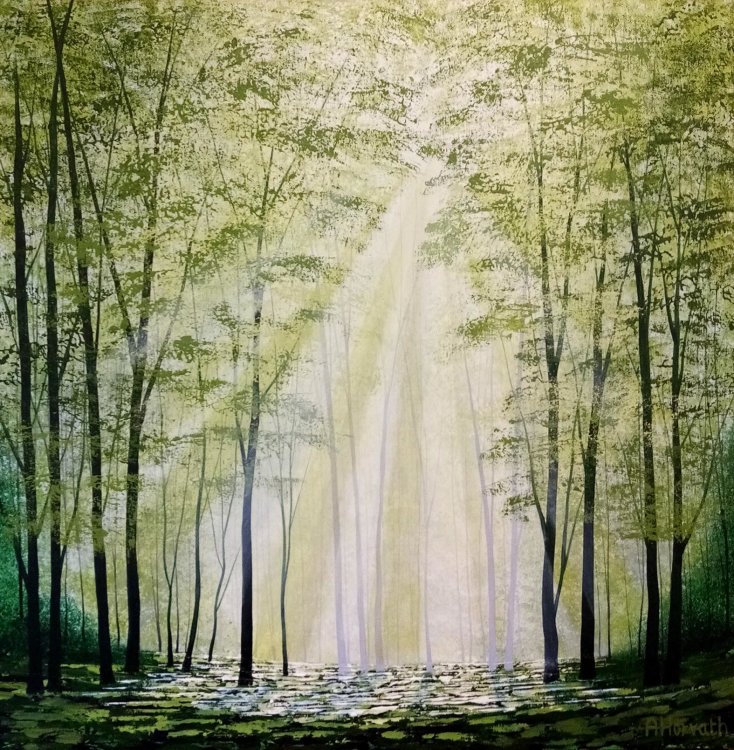 Sunlight Harmony