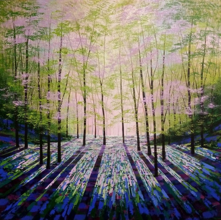 Woodland Aurora