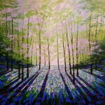 Woodland Aurora