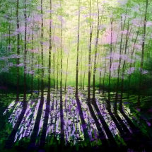 A Quiet Wood
