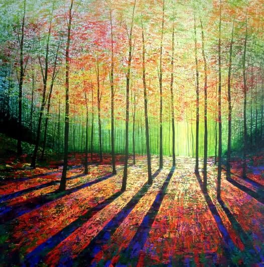 Autumn Forest