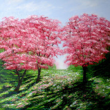 Cherry Blossom Bliss