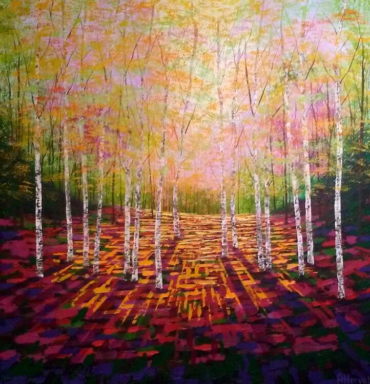 Forest of Dreams