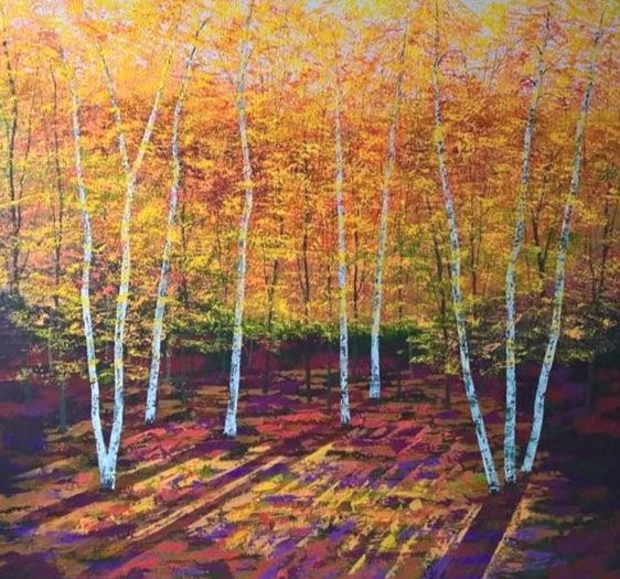 Golden Silver Birches