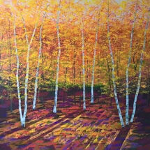 Golden Silver Birches
