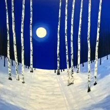 Moonshadows