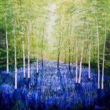 Secret Woodland
