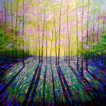 Shining Wood