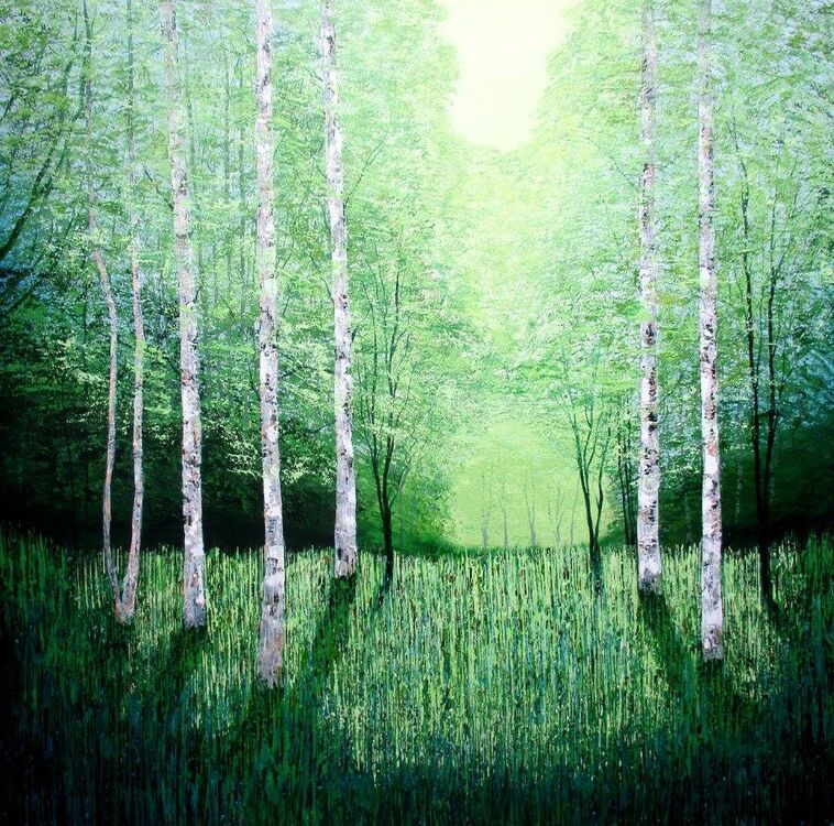 Silver Glade