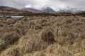 Rannoch Moor