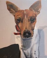 WOLLY SOLD