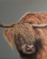 Highland wishes SOLD