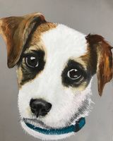 Jack Russel on board