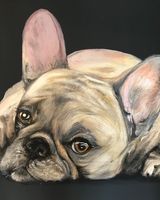 French bulldog SOLD