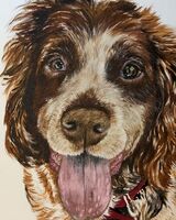 SKYE SOLD
