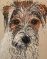 Little Scruffy SOLD