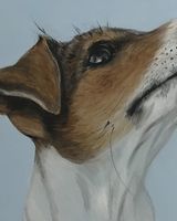 Curious Jack SOLD
