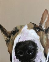 Nosey ! SOLD