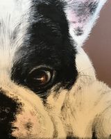French bulldog SOLD