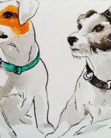 Jack Russels