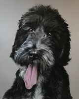 BUDDY SOLD