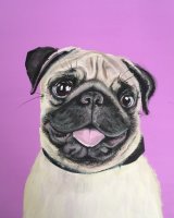 Pink pug SOLD