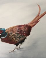 Pheasant in the snow SOLD
