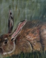 Giant hare SOLD