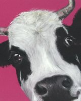 Pink cow SOLD