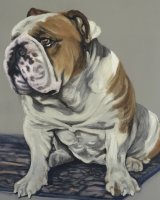 Monty SOLD