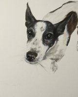 Pip SOLD