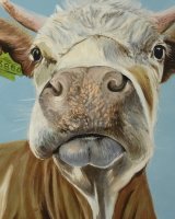 Hello SOLD