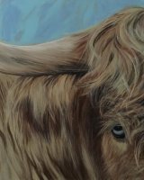 Highland Eye SOLD