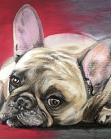 Frenchie SOLD