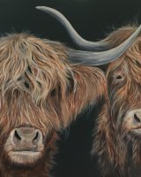 Two coos SOLD