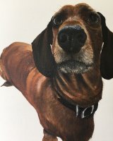 Hello sausage SOLD