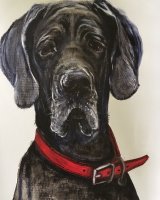 The greatest dane SOLD