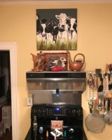 The girls in its new American home