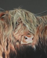 A pair of coos SOLD