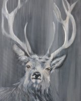 Grey stag SOLD