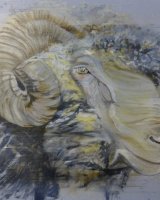 Ram SOLD