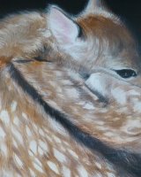 Sleepy fawn SOLD